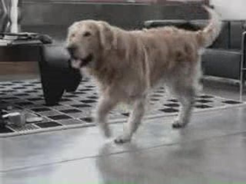 femme malheur au reveil