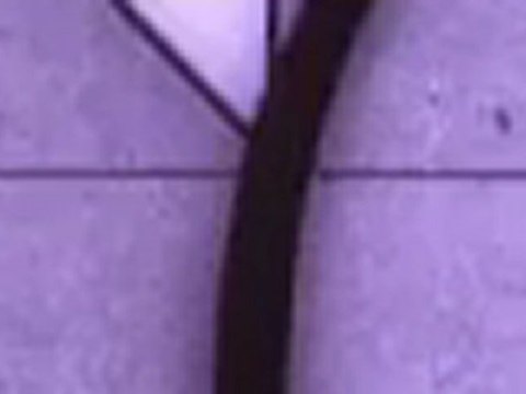 Vancouver Computer Repair Services - Office Network Support and Repairs - Tel: 778 232 6633