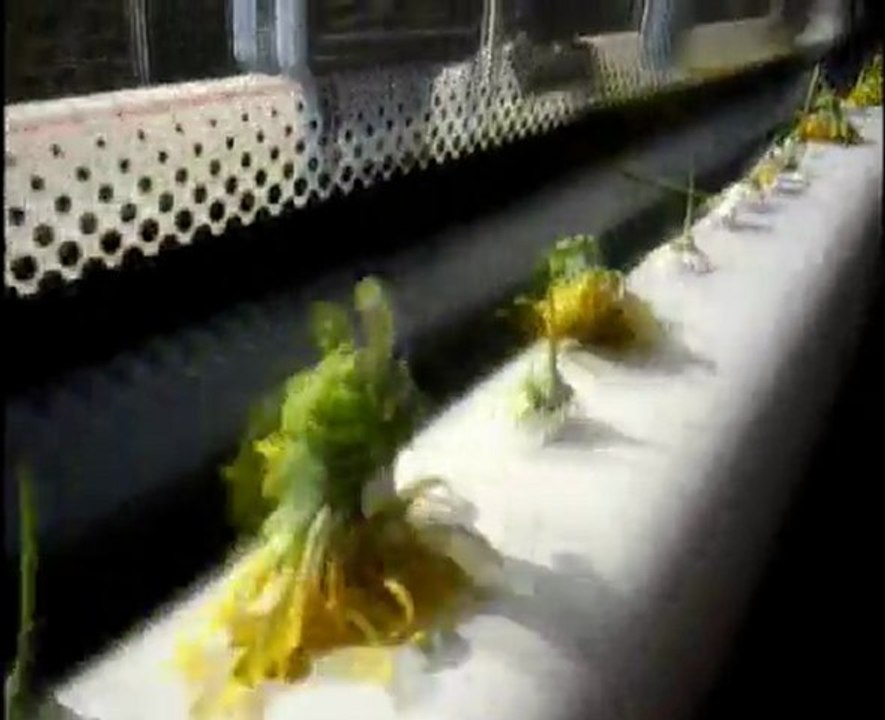 flores en el metro