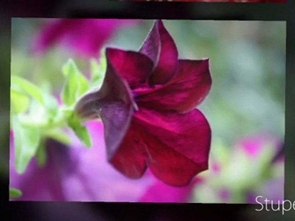 Ma participation au concours "Vos photos de vacances"