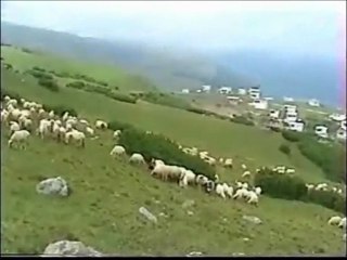 AYŞEGÜL PINAR(SEVDAMIZ TOKAT)