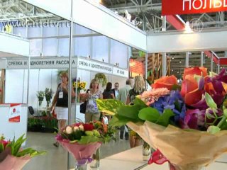 В России производят все меньше семян