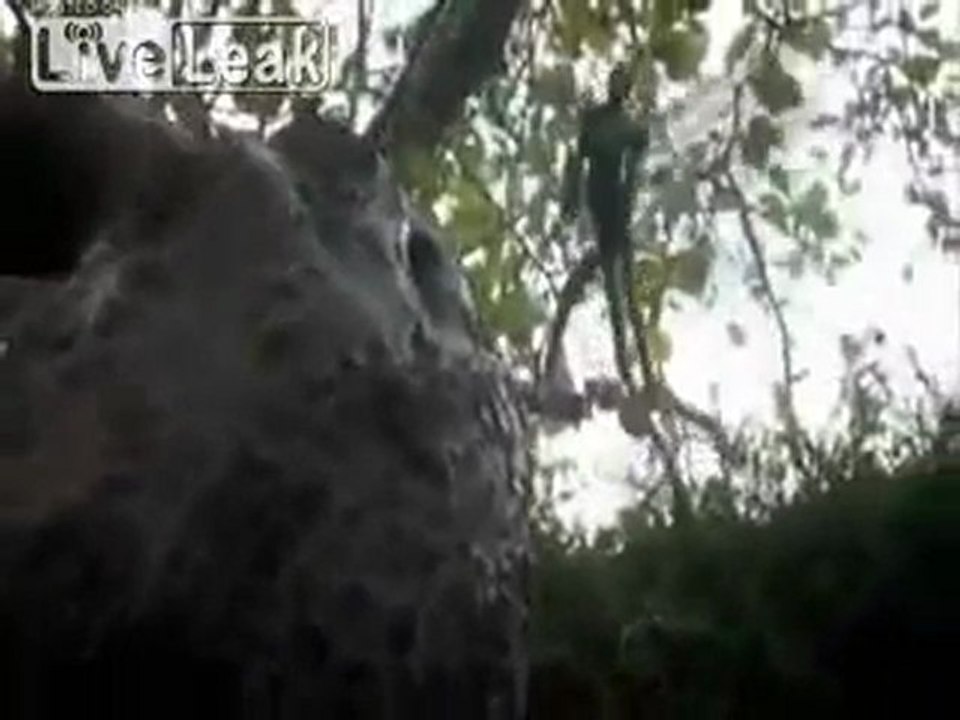 komisch, in meinem Garten gefilmt werden ...