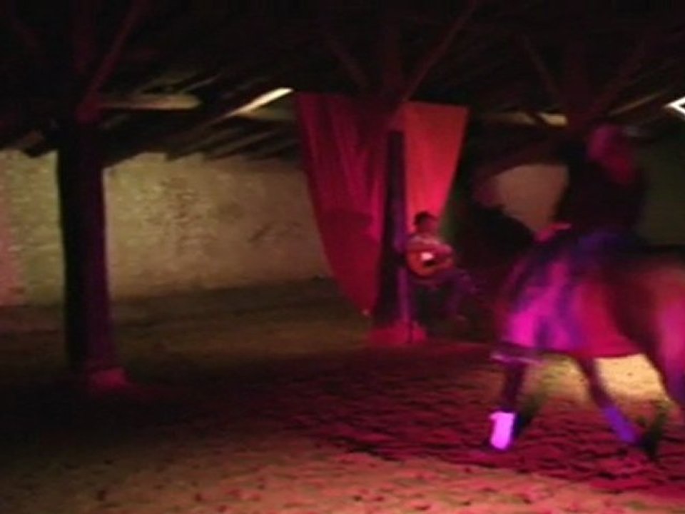 Duo de chevaux sur Fado, le Cheval Bavard - Folies-Cheval 2011