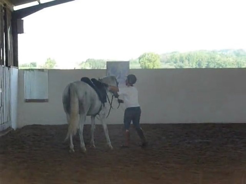 Dada chez B suite et fin séance 1er sept. 2011