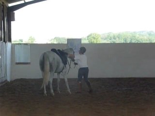 Dada chez B suite et fin séance 1er sept. 2011