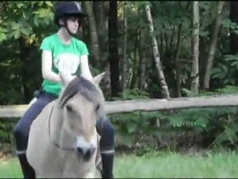 Mick & Casa septembre 2011