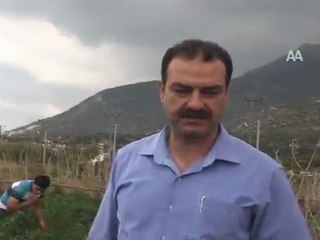 Acı biber yok satıyor