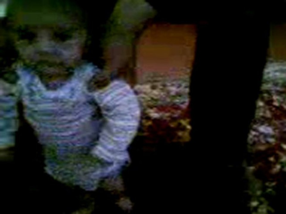 video-0040