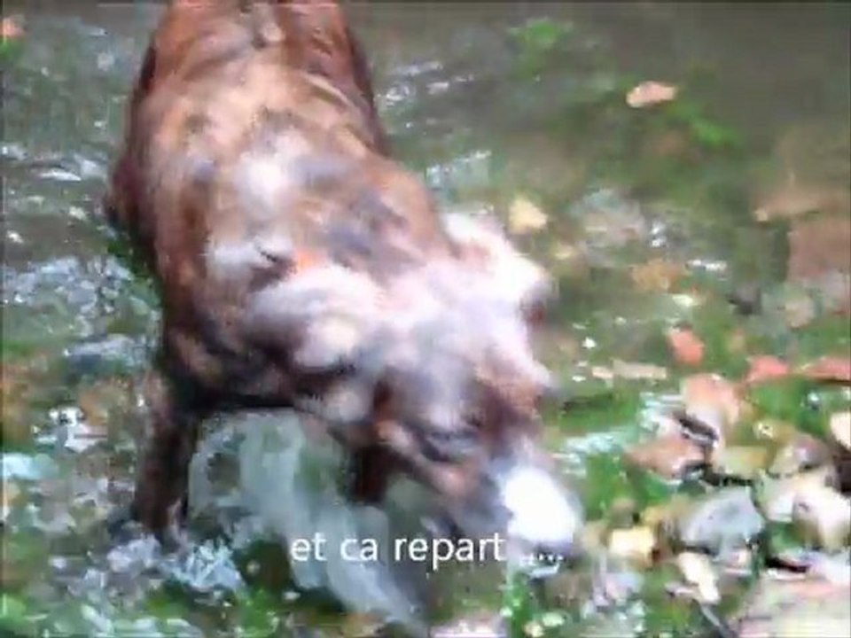 03-09-2011  sarrera