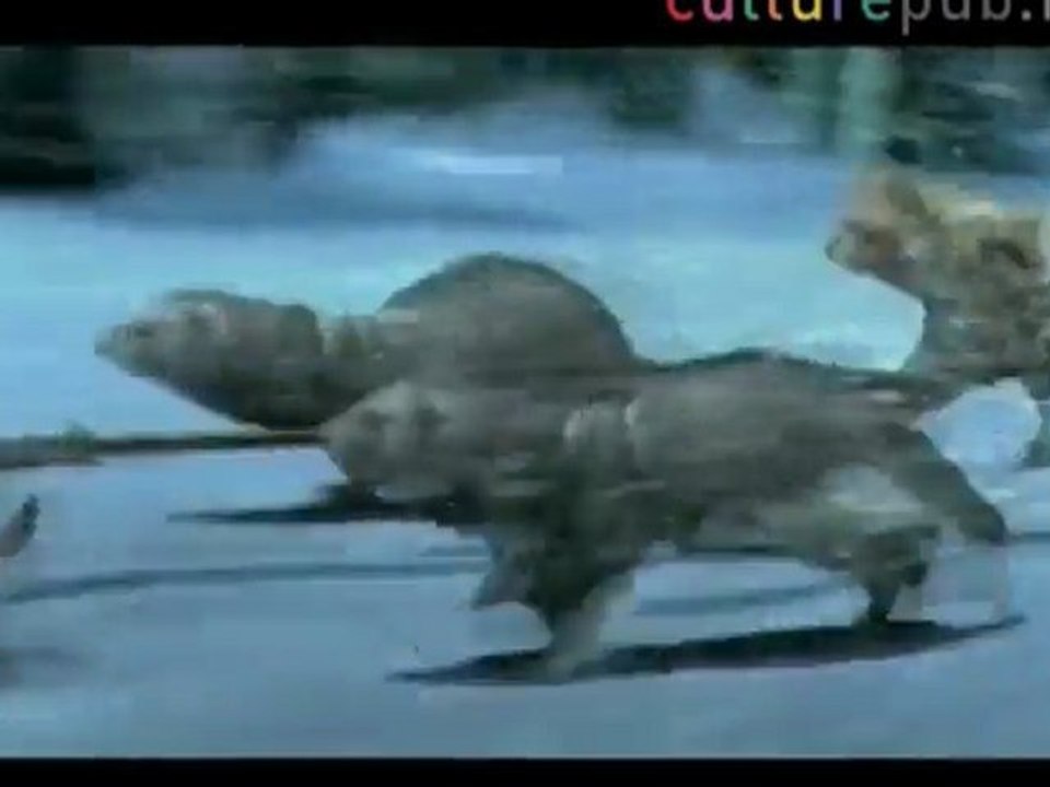 Pets at work: miracle sleigh ride