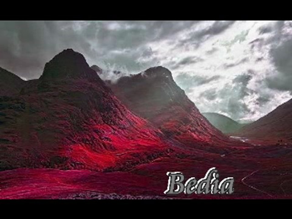 Oğuz Boran/ yarını yok..