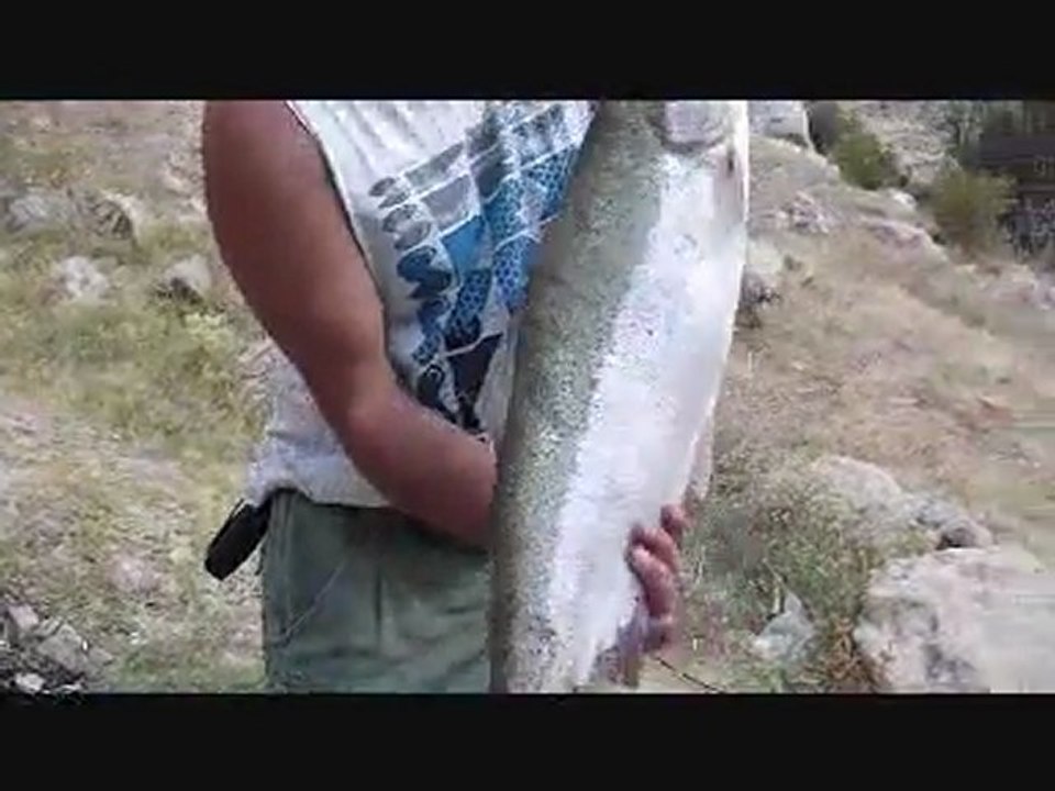 Alabalık 5
