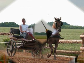 Les Ecuries de Crève- Coeur Issoudun