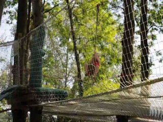 Camille fait de la tyrolienne à 3 mètre de hauteur !! Camille-Kase !!