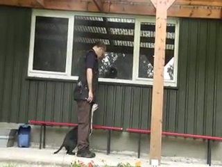 marche arriere mlle kira