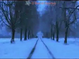 La chica del dragon tatuado:  Trailer: The Girl with the Dragon Tattoo