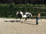 Longer - Envoyer Ramener Envoyer au trot