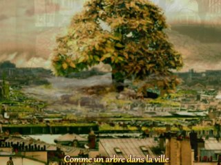 COMME UN ARBRE DANS LA VILLE (M. LEFORESTIER)