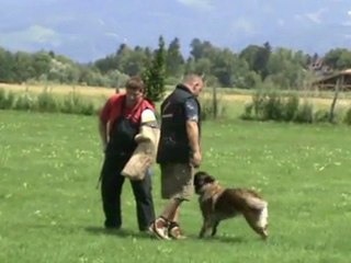 Cassandre-IPO2-Juli-2011-Schutz