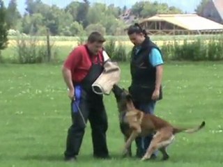 Goja-IPO1-Juli-2011-Schutz