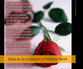 Yusuf Günerkaya Anne Şiiri