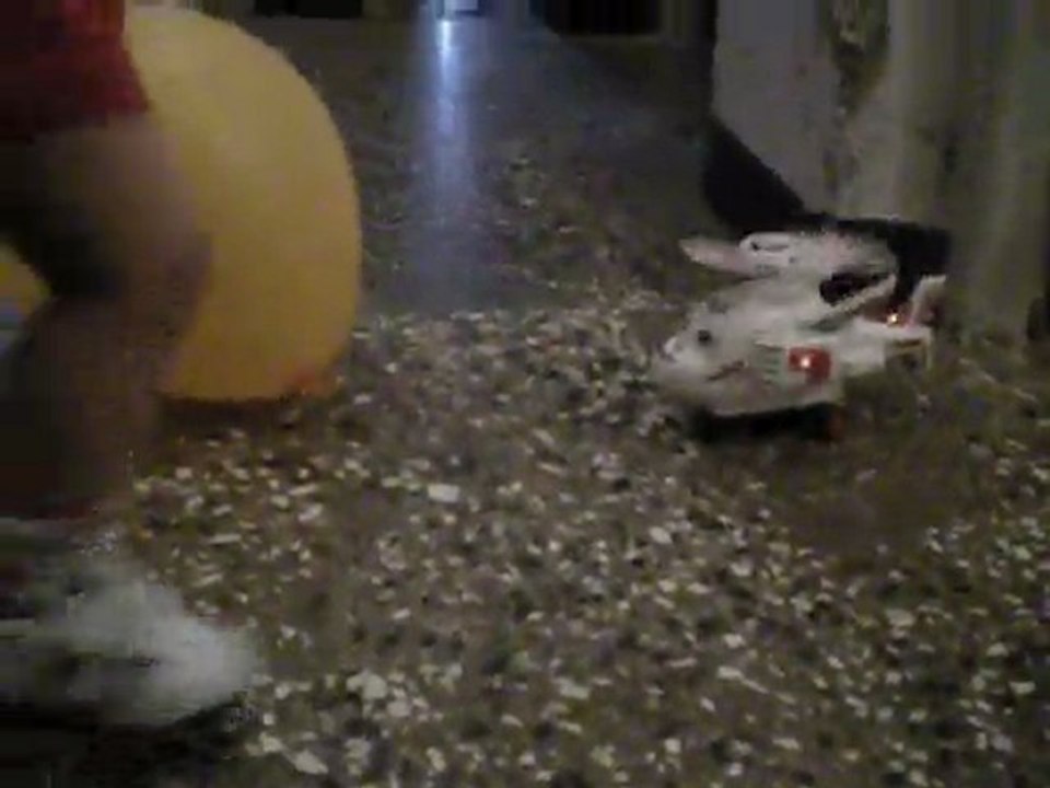 Samy, le jour de laid 29 aout 2011