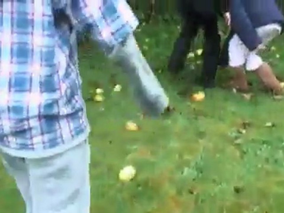 Creepy fairy Insekten - UK