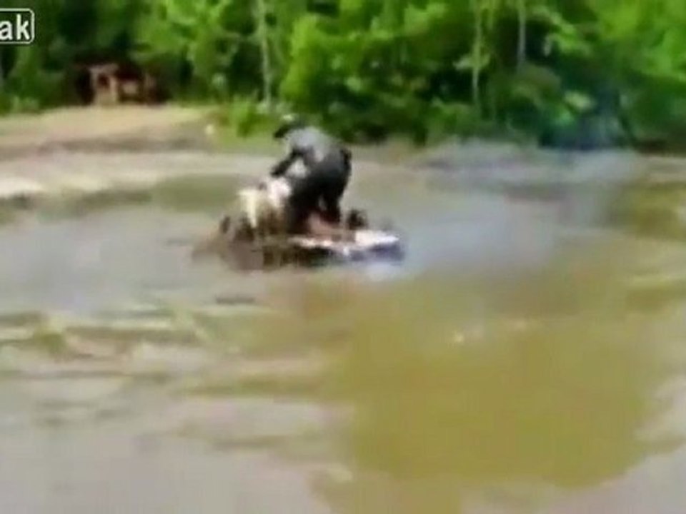 Internet idiots - August 2011