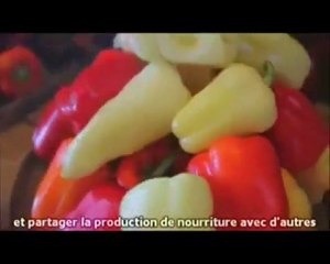 PAUVRE MOUTON SERVILE ET CANCEREUX_ON VOUS AURA PREVENU !!!