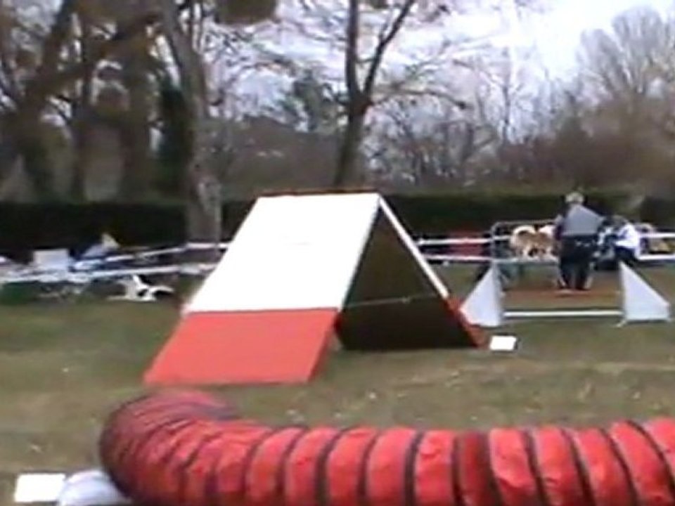 asgard fra valhalla berger islandais CHECY 03.11