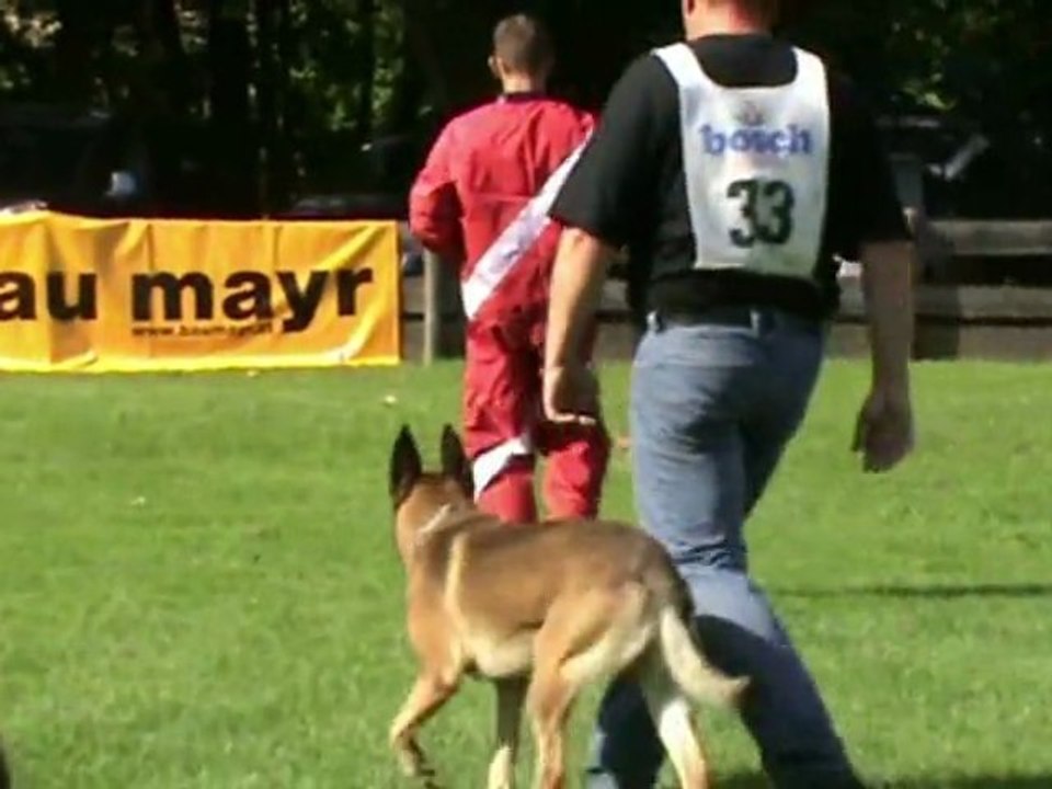 ÖGV-Sieger-2011-Gruber+Apollon-Schutz