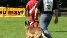 ÖGV-Sieger-2011-Gruber+Apollon-Schutz