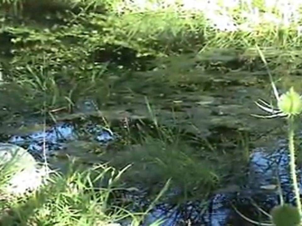 New01.mpg Rocher de Costaros Moulin AOUT 2011 Auvergne