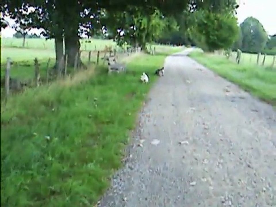 en promenade