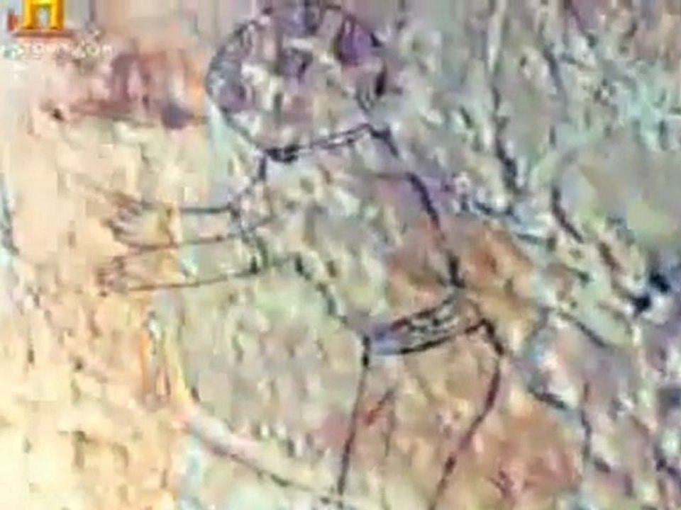 La historia indigna-2- (25 de 66)SUMERIOS Y ANNUNAKIS,CREACION DE ADN HUMANO(medium_H.264-AAC)