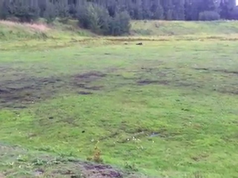 sortie baja ss et 5sc