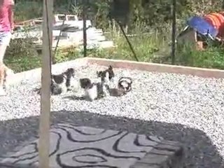 cours de récréation