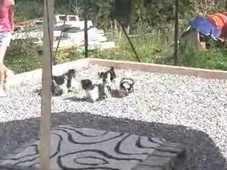 cours de récréation