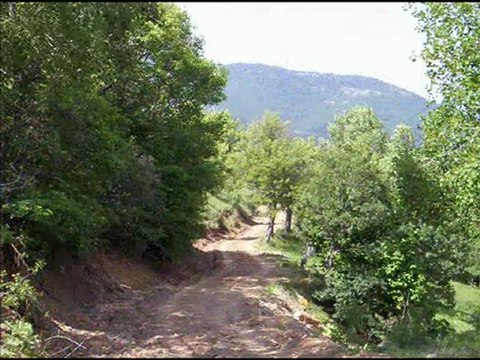 Ordu Mesudiye Gülpınar Köyü