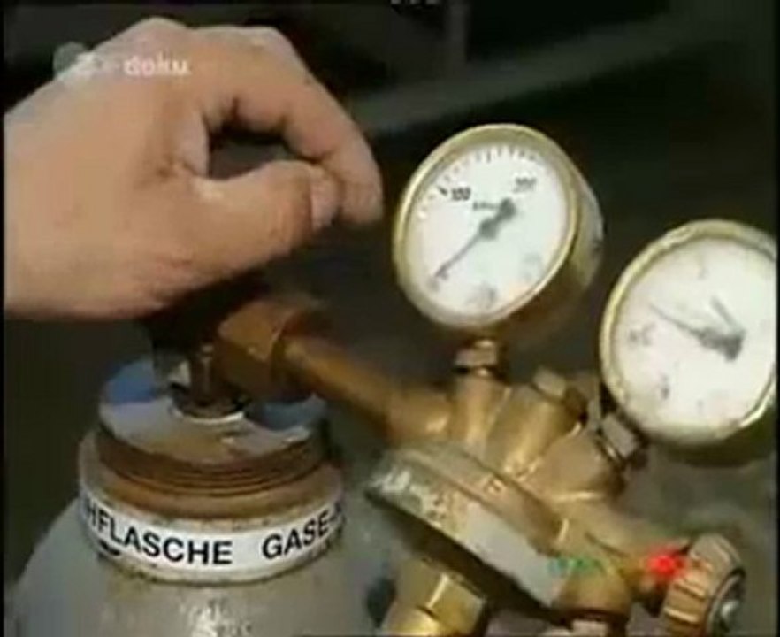 Küken in der Hühnerzucht - Unmenschlich aber wahr :(