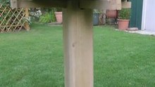 Bird Bath - The Movie