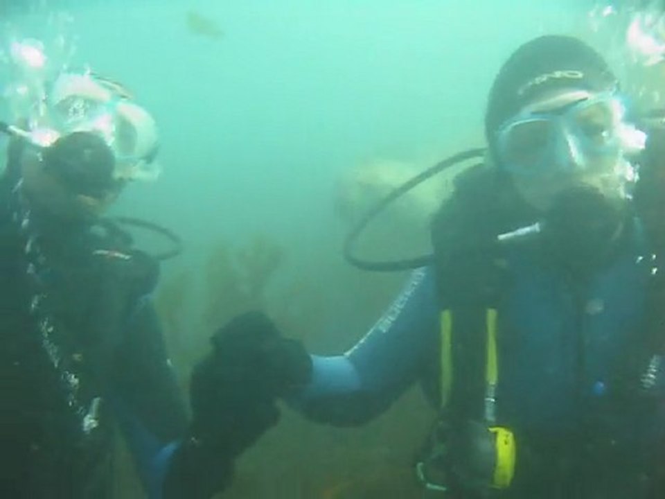 Péninsule Valdès - Plongée avec otaries