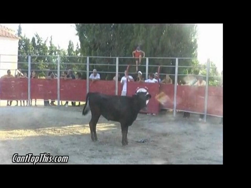 Fat Guy Hit by Bull