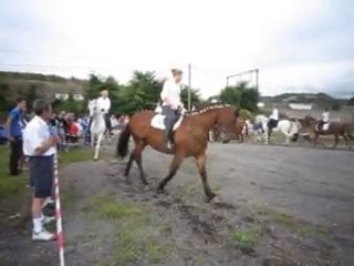 le 04-09-2011 Le manège El Cortijo a organisé un carrousel et une démontration équestre