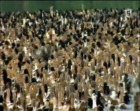 CHRONIQUES DE L'UNIVERS - UNE VIE EXTRATERRESTRE 1/4