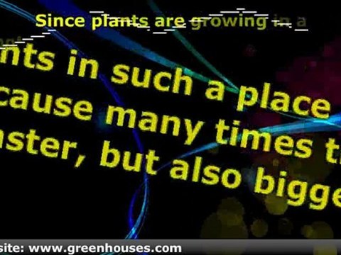 The Many Advantages Of Having A Greenhouse