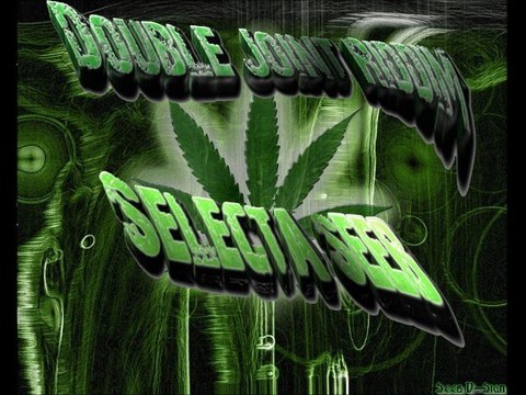 Selecta Seeb (OFFICIAL) Mix Stimulant & Double Joint Riddim Don Corleon Prod