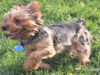 Mariner's Cove Apartments in Virginia Beach, VA - ...