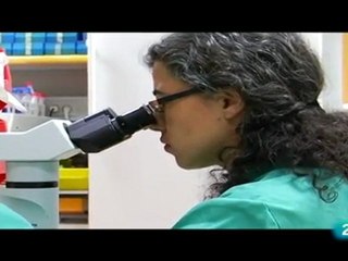 Biologia molecular: Almudena R. Ramiro